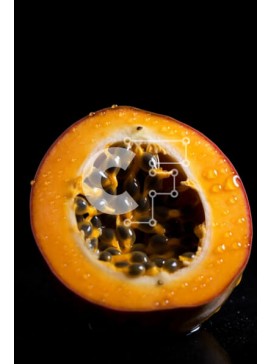 Σετ των 2 Intra Συλλεκτικό Ξύλινο Παζλ Plywood  4mm - Μισοφαγωμένο φρούτο του πάθους με σπόρους και σταγόνες νερού Σε Ξύλινο Κουτί - Διαστάσεις: 10x10 cm – 25 κομμάτια