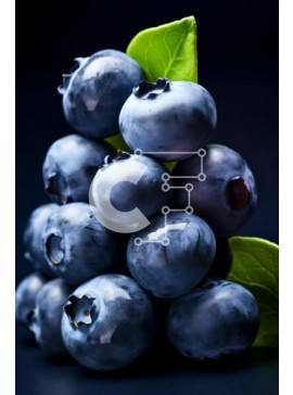 Σετ των 2 Intra Συλλεκτικό Ξύλινο Παζλ Plywood  4mm - Φρέσκα βατόμουρα με πράσινο φύλλο Σε Ξύλινο Κουτί - Διαστάσεις: 10x10 cm – 25 κομμάτια