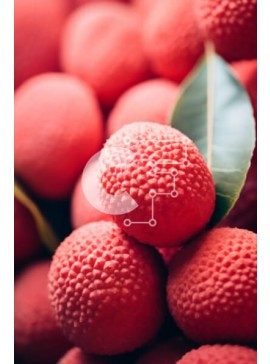 Σετ των 2 Intra Συλλεκτικό Ξύλινο Παζλ Plywood  4mm - Σωρός από κόκκινα λίτσι με πράσινο φύλλο Σε Ξύλινο Κουτί - Διαστάσεις: 10x10 cm – 25 κομμάτια