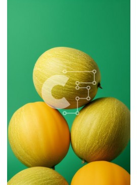 Σετ των 2 Intra Συλλεκτικό Ξύλινο Παζλ Plywood  4mm - Στοίβα από κίτρινα πεπόνια με πορτοκαλί φρούτα Σε Ξύλινο Κουτί - Διαστάσεις: 10x10 cm – 25 κομμάτια