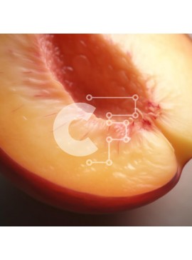 Σετ των 2 Intra Συλλεκτικό Ξύλινο Παζλ Plywood  4mm - Φρεσκοκομμένο ροδάκινο στο τραπέζι Σε Ξύλινο Κουτί - Διαστάσεις: 10x10 cm – 25 κομμάτια