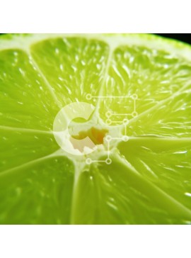 Σετ των 2 Intra Συλλεκτικό Ξύλινο Παζλ Plywood  4mm - Κινηματογράφηση σε πρώτο πλάνο φέτας φρεσκοκομμένου ασβέστη Σε Ξύλινο Κουτί - Διαστάσεις: 10x10 cm – 25 κομμάτια