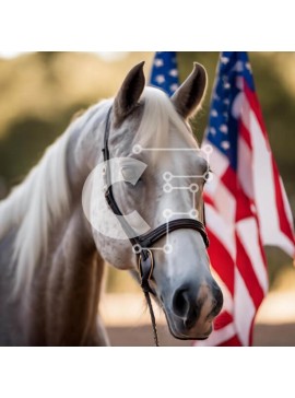 Intra Συλλεκτικό Ξύλινο Παζλ Plywood  4mm - Λευκό Άλογο μπροστά από την αμερικανική σημαία Σε Ξύλινο Κουτί - Διαστάσεις: 10x10 cm – 25 κομμάτια