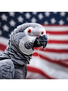 Intra Συλλεκτικό Ξύλινο Παζλ Plywood  4mm - Γκρίζος παπαγάλος μπροστά από την αμερικανική σημαία Σε Ξύλινο Κουτί - Διαστάσεις: 10x10 cm – 25 κομμάτια