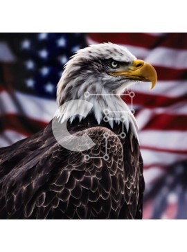Intra Συλλεκτικό Ξύλινο Παζλ Plywood  4mm - Φαλακρός αετός και αμερικανική σημαία που αντιπροσωπεύουν τον πατριωτισμό και τη δύναμη Σε Ξύλινο Κουτί - Διαστάσεις: 10x10 cm – 25 κομμάτια