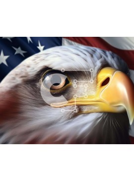 Intra Συλλεκτικό Ξύλινο Παζλ Plywood  4mm - Πατριωτικό κεφάλι αετού μπροστά από την αμερικανική σημαία Σε Ξύλινο Κουτί - Διαστάσεις: 10x10 cm – 25 κομμάτια