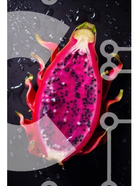 Σετ των 2 Intra Συλλεκτικό Ξύλινο Παζλ Plywood  4mm - Φρέσκο ​​Dragonfruit μισά με σταγόνες νερού Σε Ξύλινο Κουτί - Διαστάσεις: 10x10 cm – 25 κομμάτια