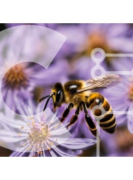 Intra Συλλεκτικό Ξύλινο Παζλ Plywood  4mm - Μέλισσα στα μωβ λουλούδια Σε Ξύλινο Κουτί - Διαστάσεις: 10x10 cm – 25 κομμάτια