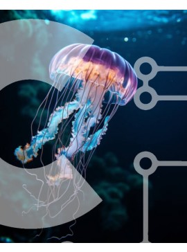 Intra Συλλεκτικό Ξύλινο Παζλ Plywood  4mm - Μέδουσες στο νερό με ορατά πλοκάμια Σε Ξύλινο Κουτί - Διαστάσεις: 10x10 cm – 25 κομμάτια