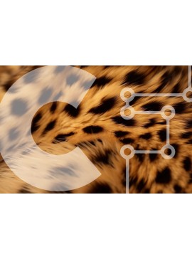 Intra Συλλεκτικό Ξύλινο Παζλ Plywood  4mm - Κοντινό πλάνο του μοτίβου και της υφής της γούνας του Cheetah Σε Ξύλινο Κουτί - Διαστάσεις: 10x10 cm – 25 κομμάτια