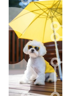 Σετ των 2 Intra Συλλεκτικό Ξύλινο Παζλ Plywood  4mm - Μικρό λευκό σκυλί με γυαλιά ηλίου κάτω από την ομπρέλα Σε Ξύλινο Κουτί - Διαστάσεις: 10x10 cm – 25 κομμάτια