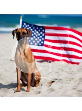 Intra Συλλεκτικό Ξύλινο Παζλ Plywood  4mm - Μεγάλο καφέ σκυλί στην παραλία με την αμερικανική σημαία Σε Ξύλινο Κουτί - Διαστάσεις: 10x10 cm – 25 κομμάτια