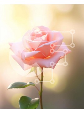 Intra Συλλεκτικό Ξύλινο Παζλ Plywood  4mm - Μονό ροζ τριαντάφυλλο με πράσινα φύλλα και μπόκε Σε Ξύλινο Κουτί - Διαστάσεις: 10x10 cm – 25 κομμάτια