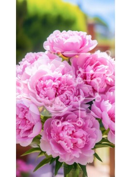 Σετ των 2 Intra Συλλεκτικό Ξύλινο Παζλ Plywood  4mm - Γυάλινο Βάζο με Ροζ Λουλούδια και Ξύλινο Πάγκο Σε Ξύλινο Κουτί - Διαστάσεις: 10x10 cm – 25 κομμάτια