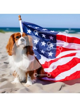 Intra Συλλεκτικό Ξύλινο Παζλ Plywood  4mm - Καφέ και λευκό σκυλί με αμερικανική σημαία στην παραλία Σε Ξύλινο Κουτί - Διαστάσεις: 10x10 cm – 25 κομμάτια