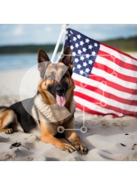 Intra Συλλεκτικό Ξύλινο Παζλ Plywood  4mm - Γερμανικός Ποιμενικός στην παραλία με την αμερικανική σημαία Σε Ξύλινο Κουτί - Διαστάσεις: 10x10 cm – 25 κομμάτια