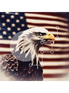 Intra Συλλεκτικό Ξύλινο Παζλ Plywood  4mm - Φαλακρός αετός με αμερικανική σημαία - σύμβολο του πατριωτισμού Σε Ξύλινο Κουτί - Διαστάσεις: 10x10 cm – 25 κομμάτια