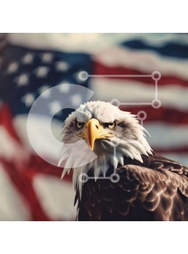 Intra Συλλεκτικό Ξύλινο Παζλ Plywood  4mm - Φαλακρός αετός μπροστά από την αμερικανική σημαία Σε Ξύλινο Κουτί - Διαστάσεις: 10x10 cm – 25 κομμάτια