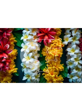 Intra Συλλεκτικό Ξύλινο Παζλ Plywood  4mm - Πολύχρωμες γιρλάντες λουλουδιών Σε Ξύλινο Κουτί - Διαστάσεις Puzzle: 10x10 cm – 25 κομμάτια