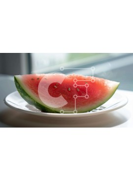 Σετ των 2 Intra Συλλεκτικό Ξύλινο Παζλ Plywood  4mm - Φέτα καρπούζι σε λευκό πιάτο Σε Ξύλινο Κουτί - Διαστάσεις: 10x10 cm – 25 κομμάτια