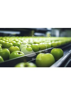 Intra Συλλεκτικό Ξύλινο Παζλ Plywood  4mm - Μεταφορική ταινία που επεξεργάζεται πράσινα μήλα σε βιομηχανικό περιβάλλον Σε Ξύλινο Κουτί - Διαστάσεις Puzzle: 10x10 cm – 25 κομμάτια