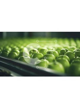 Σετ των 2 Intra Συλλεκτικό Ξύλινο Παζλ Plywood  4mm - Φρεσκοκομμένα πράσινα μήλα στη ζώνη μεταφοράς Σε Ξύλινο Κουτί - Διαστάσεις: 10x10 cm – 25 κομμάτια