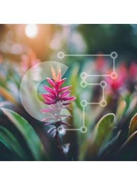 Intra Συλλεκτικό Ξύλινο Παζλ Plywood  4mm - Ροζ λουλούδι με πράσινα φύλλα Σε Ξύλινο Κουτί - Διαστάσεις: 10x10 cm – 25 κομμάτια