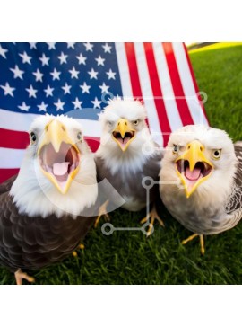 Intra Συλλεκτικό Ξύλινο Παζλ Plywood  4mm - Φαλακρός αετός και αμερικανική σημαία Σε Ξύλινο Κουτί - Διαστάσεις: 10x10 cm – 25 κομμάτια