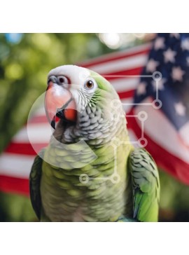 Intra Συλλεκτικό Ξύλινο Παζλ Plywood  4mm - Πράσινος παπαγάλος με φόντο αμερικανική σημαία Σε Ξύλινο Κουτί - Διαστάσεις: 10x10 cm – 25 κομμάτια