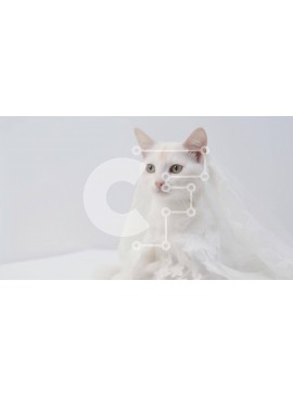 Intra Συλλεκτικό Ξύλινο Παζλ Plywood  4mm - Λευκή γάτα που κάθεται σε λευκή κουβέρτα Σε Ξύλινο Κουτί - Διαστάσεις: 10x10 cm – 25 κομμάτια