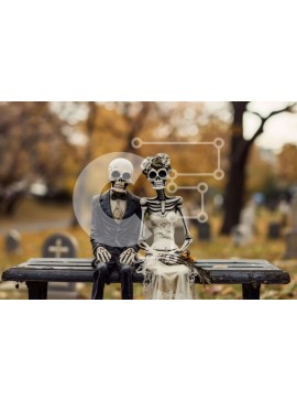 Intra Συλλεκτικό Ξύλινο Παζλ Plywood  4mm - Ειδώλια σκελετών στον πάγκο του νεκροταφείου Σε Ξύλινο Κουτί - Διαστάσεις Puzzle: 10x10 cm – 25 κομμάτια