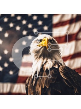 Intra Συλλεκτικό Ξύλινο Παζλ Plywood  4mm - Φαλακρός αετός μπροστά από την αμερικανική σημαία Σε Ξύλινο Κουτί - Διαστάσεις: 10x10 cm – 25 κομμάτια