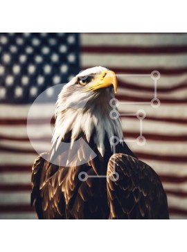 Intra Συλλεκτικό Ξύλινο Παζλ Plywood  4mm - Φαλακρός αετός με αμερικανική σημαία Σε Ξύλινο Κουτί - Διαστάσεις: 10x10 cm – 25 κομμάτια