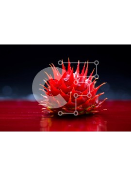 Intra Συλλεκτικό Ξύλινο Παζλ Plywood  4mm - Αιχμηρά κόκκινα φρούτα σε πορτοκαλί φόντο με σταγονίδια νερού Σε Ξύλινο Κουτί - Διαστάσεις: 10x10 cm – 25 κομμάτια