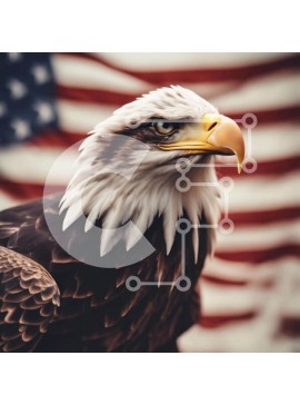 Intra Συλλεκτικό Ξύλινο Παζλ Plywood  4mm - Φαλακρός αετός και αμερικανική σημαία Σε Ξύλινο Κουτί - Διαστάσεις: 10x10 cm – 25 κομμάτια