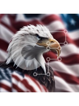 Intra Συλλεκτικό Ξύλινο Παζλ Plywood  4mm - Αετός μπροστά από την αμερικανική σημαία Σε Ξύλινο Κουτί - Διαστάσεις: 10x10 cm – 25 κομμάτια