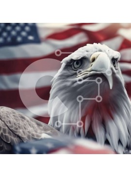 Intra Συλλεκτικό Ξύλινο Παζλ Plywood  4mm - Αετός με αμερικανική σημαία Σε Ξύλινο Κουτί - Διαστάσεις: 10x10 cm – 25 κομμάτια