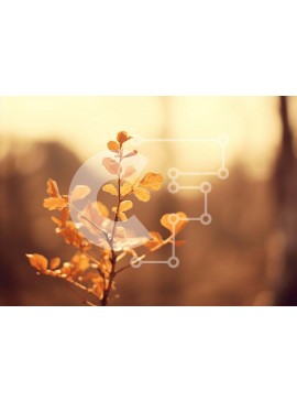 Intra Συλλεκτικό Ξύλινο Παζλ Plywood  4mm - Φυτό με κίτρινα φύλλα στο δάσος Σε Ξύλινο Κουτί - Διαστάσεις: 10x10 cm – 25 κομμάτια