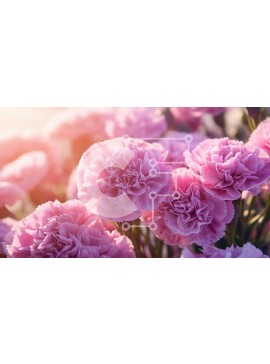 Intra Συλλεκτικό Ξύλινο Παζλ Plywood  4mm - Ομάδα από ανθισμένα ροζ γαρίφαλα στο φως του ήλιου Σε Ξύλινο Κουτί - Διαστάσεις: 10x10 cm – 25 κομμάτια