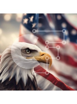 Intra Συλλεκτικό Ξύλινο Παζλ Plywood  4mm - Μεγαλοπρεπής αετός και αμερικανική σημαία Σε Ξύλινο Κουτί - Διαστάσεις: 10x10 cm – 25 κομμάτια