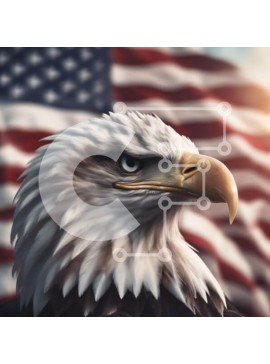 Intra Συλλεκτικό Ξύλινο Παζλ Plywood  4mm - Κεφάλι αετού μπροστά από την αμερικανική σημαία Σε Ξύλινο Κουτί - Διαστάσεις: 10x10 cm – 25 κομμάτια