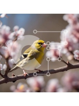 Intra Συλλεκτικό Ξύλινο Παζλ Plywood  4mm - Κίτρινο πουλί στο ανθισμένο κλαδί δέντρου Σε Ξύλινο Κουτί - Διαστάσεις: 10x10 cm – 25 κομμάτια