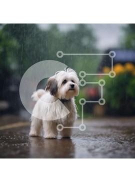 Intra Συλλεκτικό Ξύλινο Παζλ Plywood  4mm - Μικρό λευκό σκυλί που στέκεται στη βροχή με φυτά Σε Ξύλινο Κουτί - Διαστάσεις: 10x10 cm – 25 κομμάτια