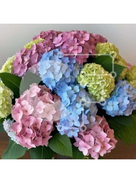 Intra Συλλεκτικό Ξύλινο Παζλ Plywood  4mm - Πολύχρωμη ανθοσυνθέσεις σε βάζο Σε Ξύλινο Κουτί - Διαστάσεις: 10x10 cm – 25 κομμάτια