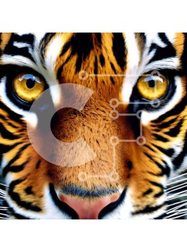 Intra Συλλεκτικό Ξύλινο Παζλ Plywood  4mm - Κοντινό πλάνο του προσώπου της τίγρης με τα κίτρινα μάτια Σε Ξύλινο Κουτί - Διαστάσεις: 10x10 cm – 25 κομμάτια