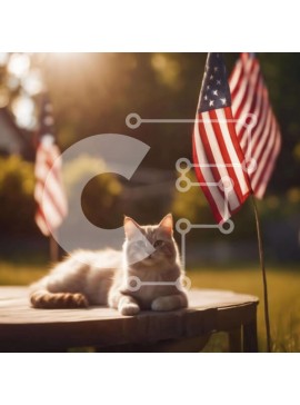 Intra Συλλεκτικό Ξύλινο Παζλ Plywood  4mm - Γάτα που χαλαρώνει σε υπαίθριο τραπέζι με αμερικανικές σημαίες Σε Ξύλινο Κουτί - Διαστάσεις: 10x10 cm – 25 κομμάτια