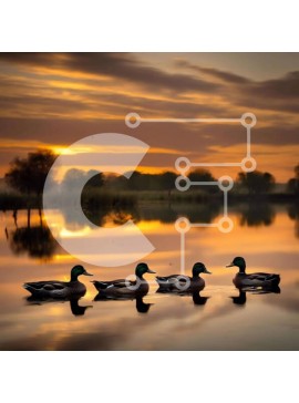 Intra Συλλεκτικό Ξύλινο Παζλ Plywood  4mm - Τέσσερις πάπιες που κολυμπούν στο νερό στο ηλιοβασίλεμα Σε Ξύλινο Κουτί - Διαστάσεις: 10x10 cm – 25 κομμάτια