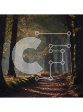 Intra Συλλεκτικό Ξύλινο Παζλ Plywood  4mm - Δασικό μονοπάτι με δέντρα και γρασίδι Σε Ξύλινο Κουτί - Διαστάσεις: 10x10 cm – 25 κομμάτια