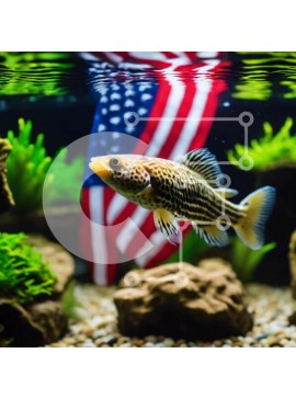 Intra Συλλεκτικό Ξύλινο Παζλ Plywood  4mm - Ψάρια που κολυμπούν σε ενυδρείο με αμερικανική σημαία, βράχους και φυτά Σε Ξύλινο Κουτί - Διαστάσεις: 10x10 cm – 25 κομμάτια