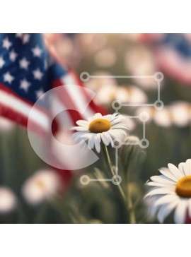 Intra Συλλεκτικό Ξύλινο Παζλ Plywood  4mm - Πεδίο με μαργαρίτες με αμερικανική σημαία Σε Ξύλινο Κουτί - Διαστάσεις Puzzle: 10x10 cm – 25 κομμάτια